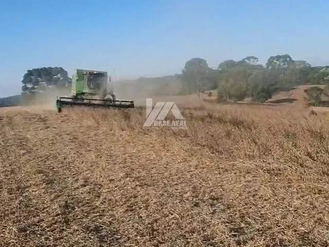 Fazenda com 2976600m², à venda, no bairro Guairacá em Guairaçá