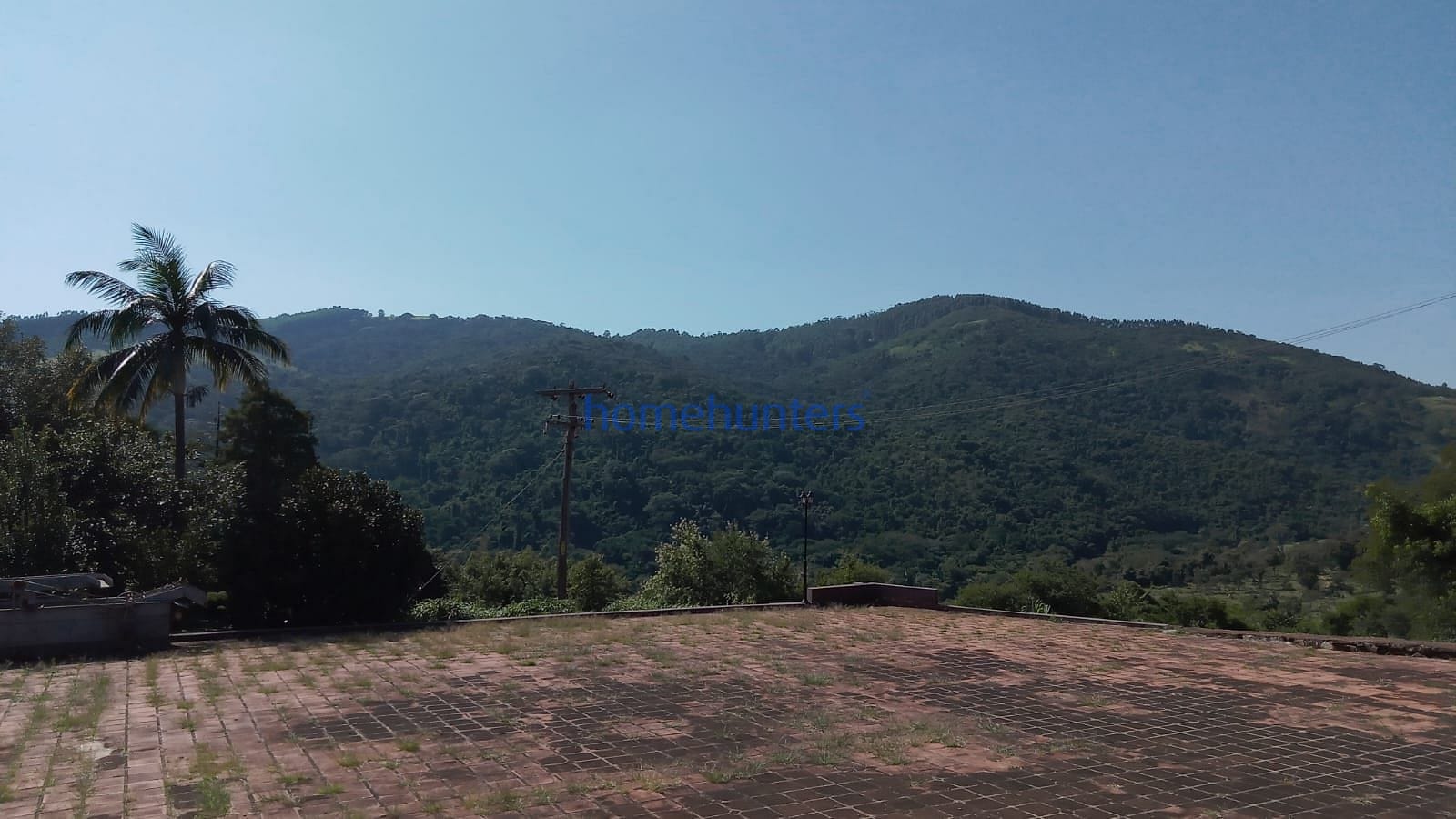 Fazenda à venda, 2000m² - Foto 11