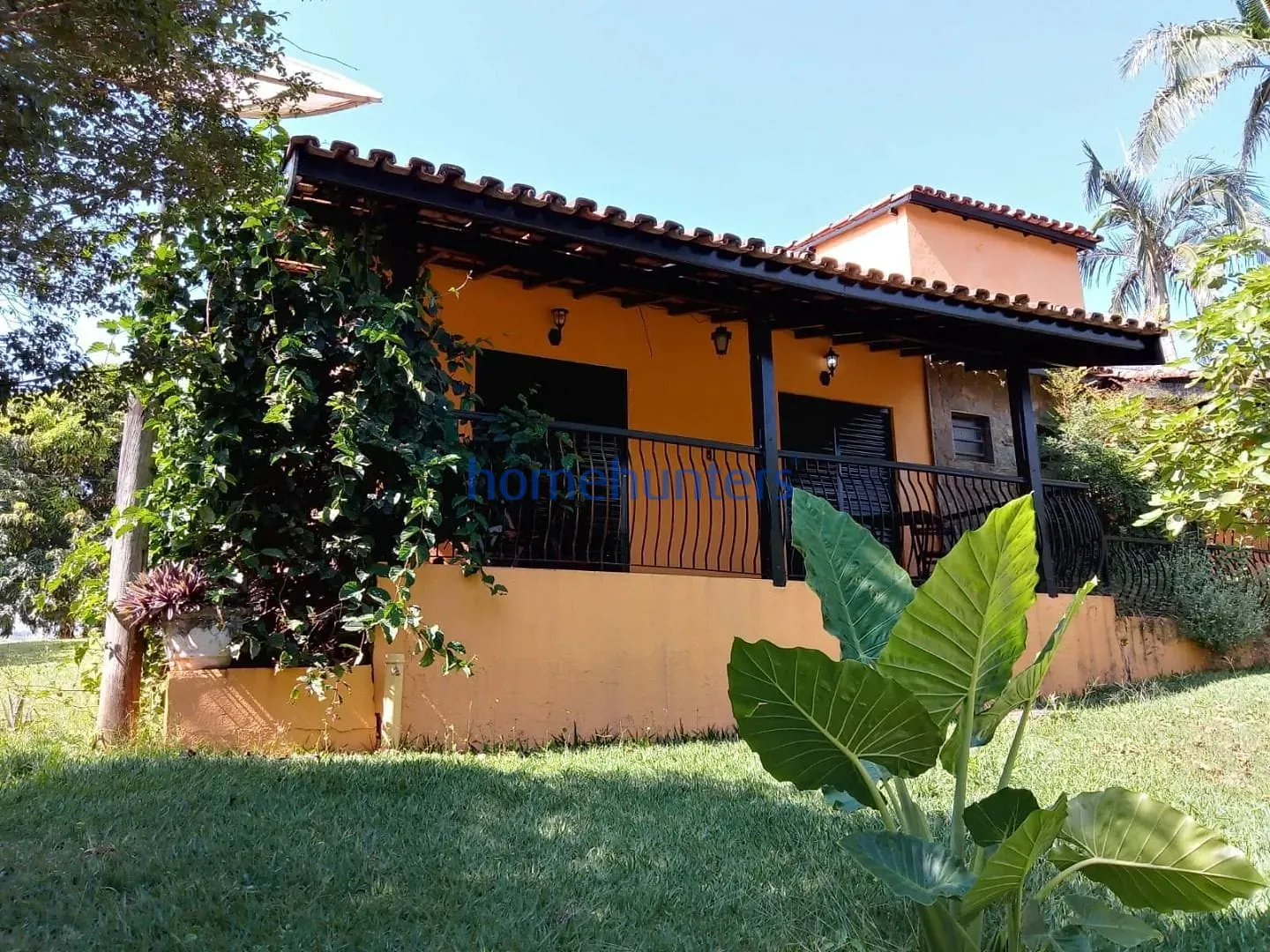 Fazenda, 75 hectares - Foto 19