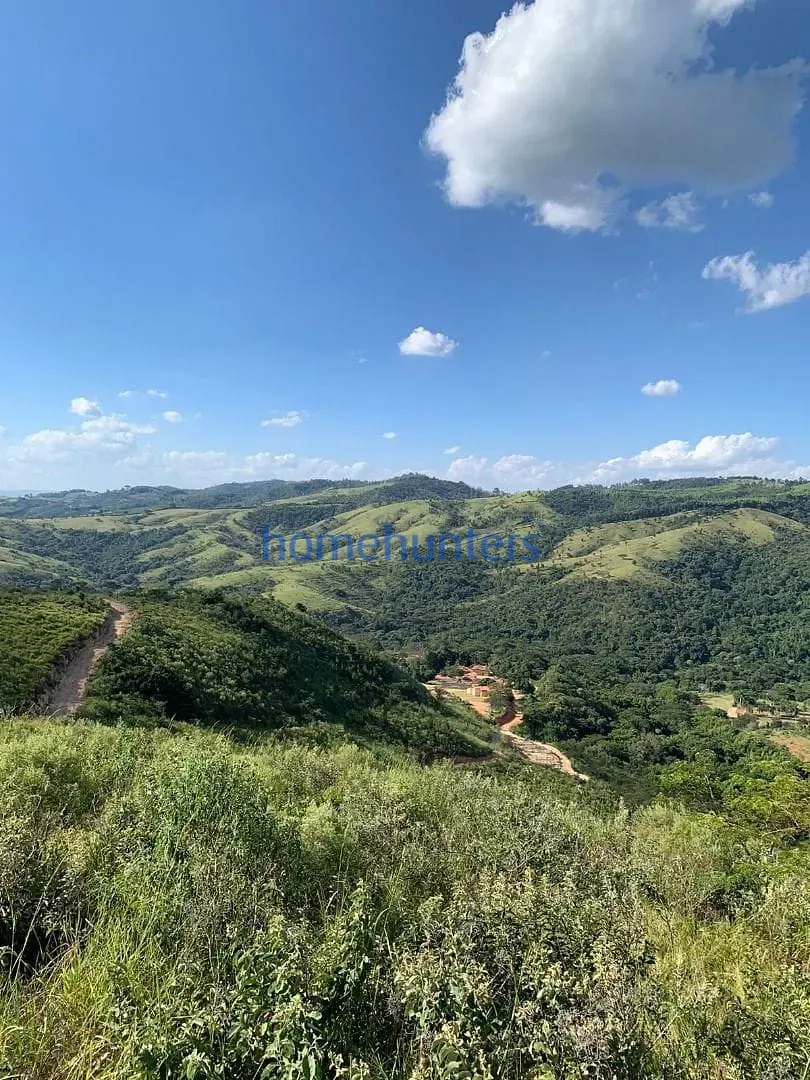 Fazenda, 75 hectares - Foto 1