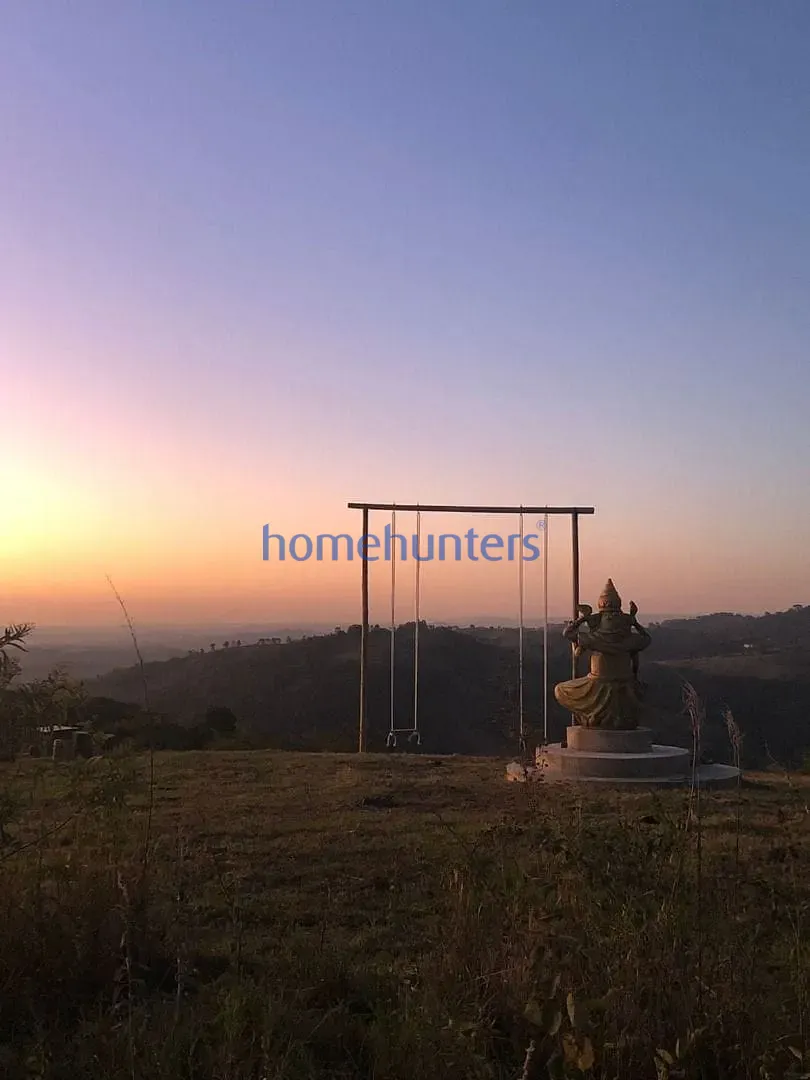 Fazenda, 75 hectares - Foto 13