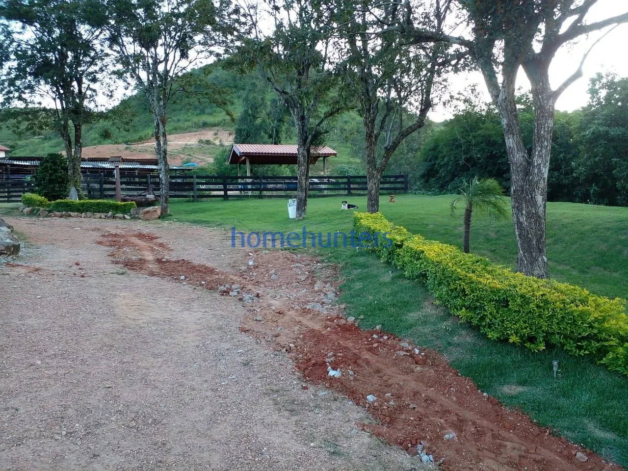 Fazenda, 75 hectares - Foto 21