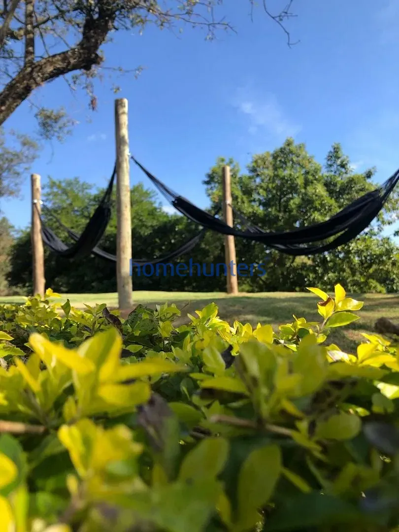 Fazenda, 75 hectares - Foto 9