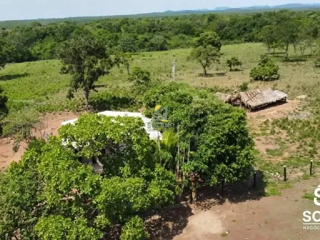 Fazenda com 1423m² 3 quartos e 2 banheiros, à venda, no bairro Zona Rural em Palminópolis