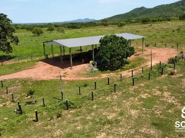 Fazenda com 1423m² 3 quartos e 2 banheiros, à venda, no bairro Zona Rural em Palminópolis