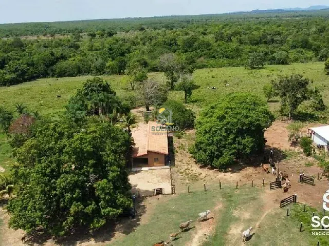 Fazenda com 1423m² 3 quartos e 2 banheiros, à venda, no bairro Zona Rural em Palminópolis