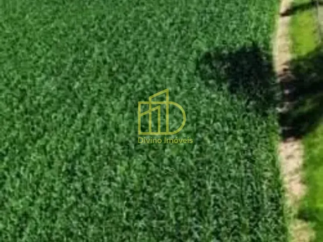 Fazenda com 7986000m², à venda, no bairro Mooca em São Paulo