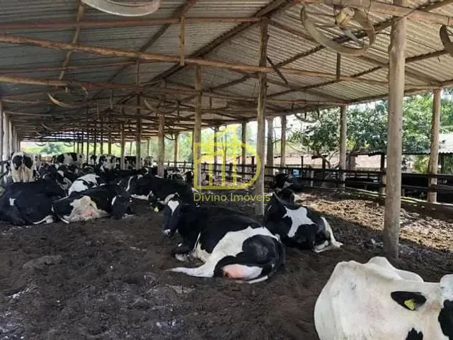 Fazenda com 7986000m², à venda, no bairro Mooca em São Paulo