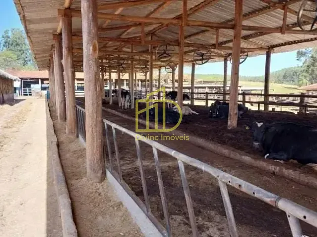 Fazenda com 7986000m², à venda, no bairro Mooca em São Paulo