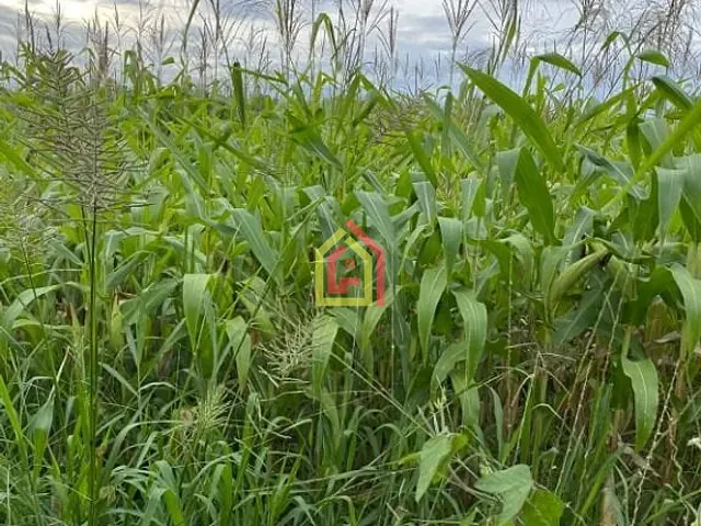 Fazenda com 10357600m², à venda, no bairro Zona Rural em Goianésia do Pará