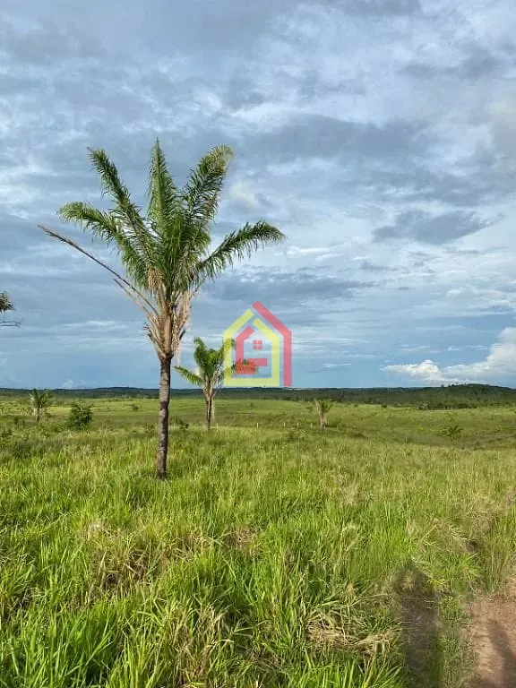 Rural à venda com 10357600m² de terreno no Zona Rural, Goianésia do Pará (PA) — foto 8 de 9