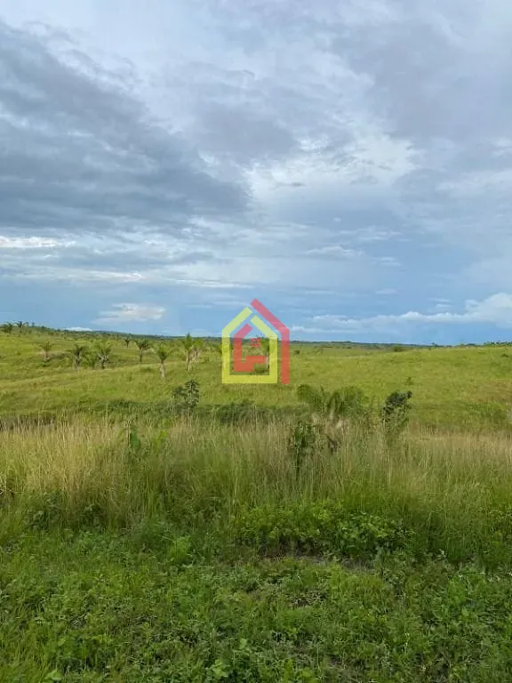 Rural à venda com 10357600m² de terreno no Zona Rural, Goianésia do Pará (PA) — foto 5 de 9