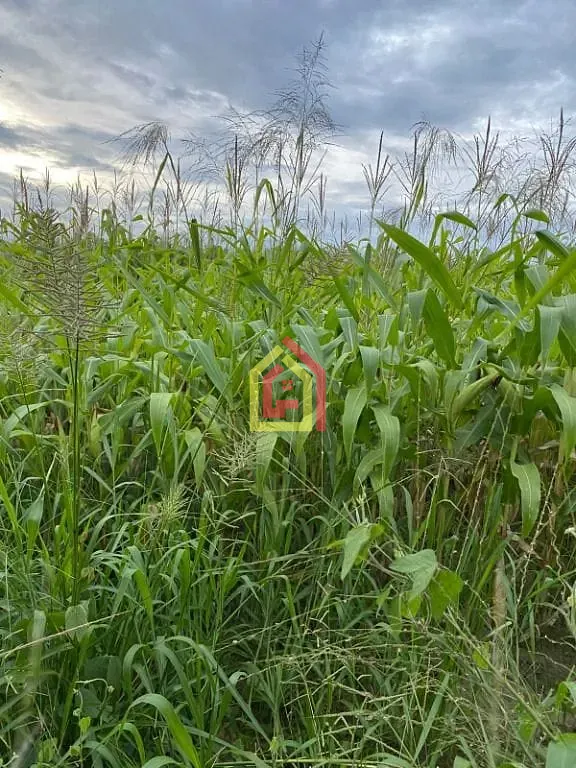 Rural à venda com 10357600m² de terreno no Zona Rural, Goianésia do Pará (PA) — foto 2 de 9