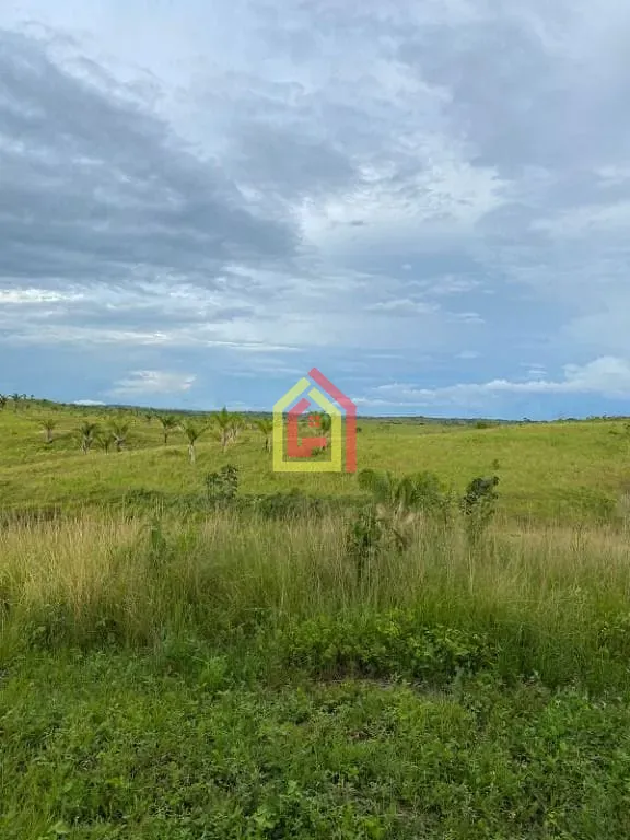 Rural à venda com 10357600m² de terreno no Zona Rural, Goianésia do Pará (PA) — foto 3 de 9