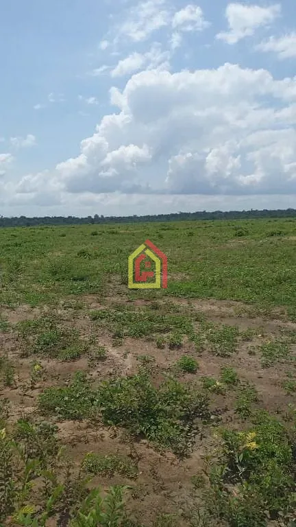 Fazenda em Tailândia/Pará — Ref FA0044_JKNB — Imagem 4