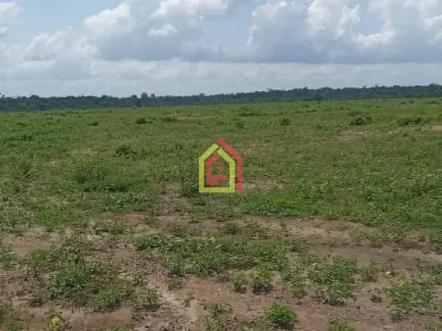 Fazenda com 111320000m², à venda, no bairro Zona Rural em Tailândia