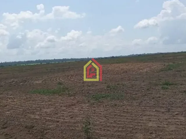 Fazenda com 111320000m², à venda, no bairro Zona Rural em Tailândia