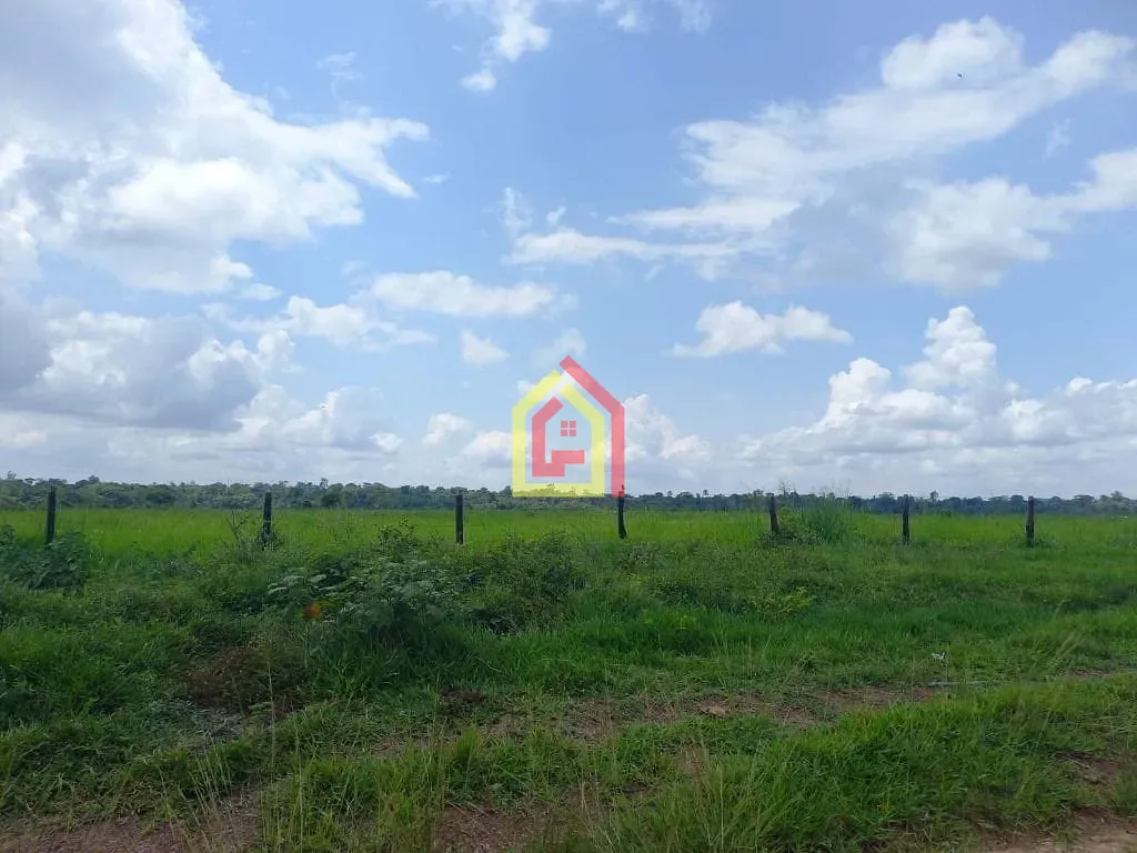 Fazenda em Tailândia/Pará — Ref FA0044_JKNB — Imagem 10