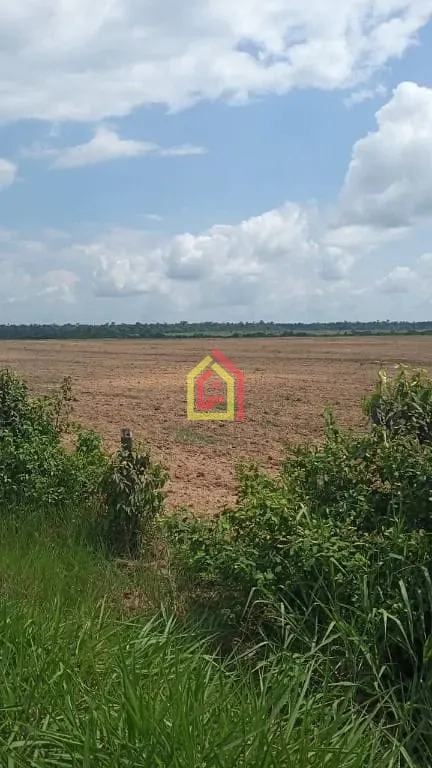 Fazenda em Tailândia/Pará — Ref FA0044_JKNB — Imagem 16