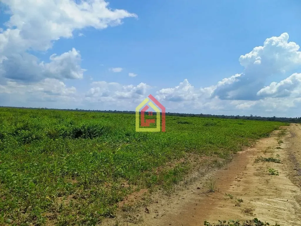 Fazenda em Tailândia/Pará — Ref FA0044_JKNB — Imagem 6