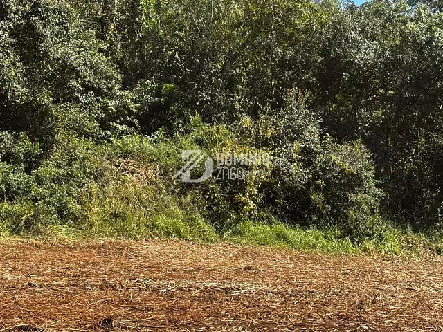 Fazenda com 146m² 1 quarto e 1 banheiro, à venda, no bairro rural em Veríssimo