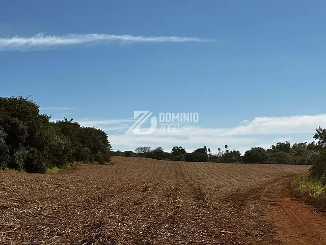 Fazenda com 146m² 1 quarto e 1 banheiro, à venda, no bairro rural em Veríssimo