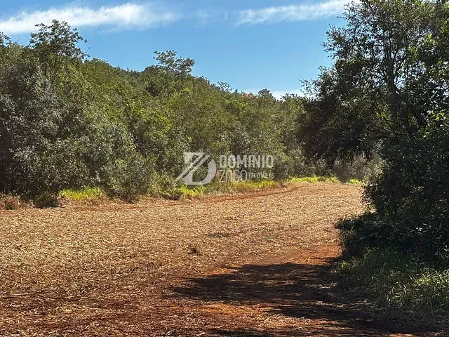 Fazenda com 146m² 1 quarto e 1 banheiro, à venda, no bairro rural em Veríssimo