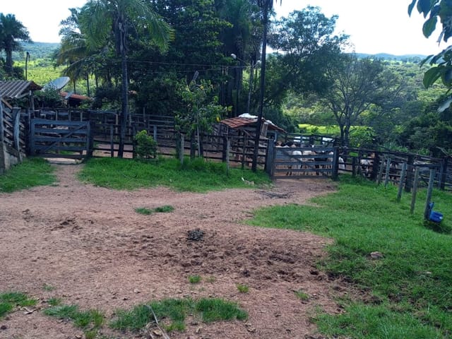Foto do Fazenda - Fazenda à venda, Área Rural de Caldas Novas, Caldas Novas, GO | M360 Imóveis