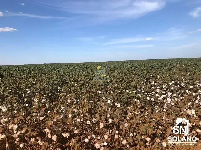 Fazenda com 27000m² 3 quartos e 1 banheiro, à venda, no bairro Zona Rural em Nova Mutum