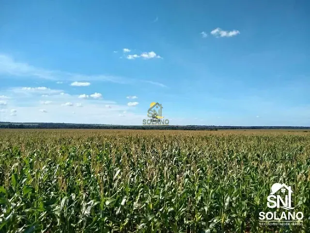 Fazenda com 27000m² 3 quartos e 1 banheiro, à venda, no bairro Zona Rural em Nova Mutum