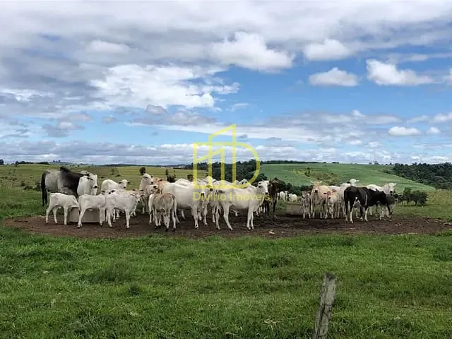 Fazenda com 2105400m² 3 quartos e 1 banheiro, à venda, no bairro Alambari em Alambari