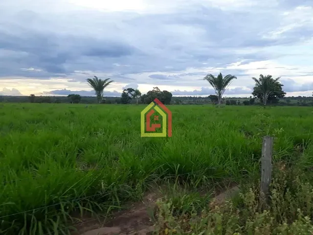 Fazenda com 4017200m², à venda, no bairro Zona Rural em São Domingos do Araguaia