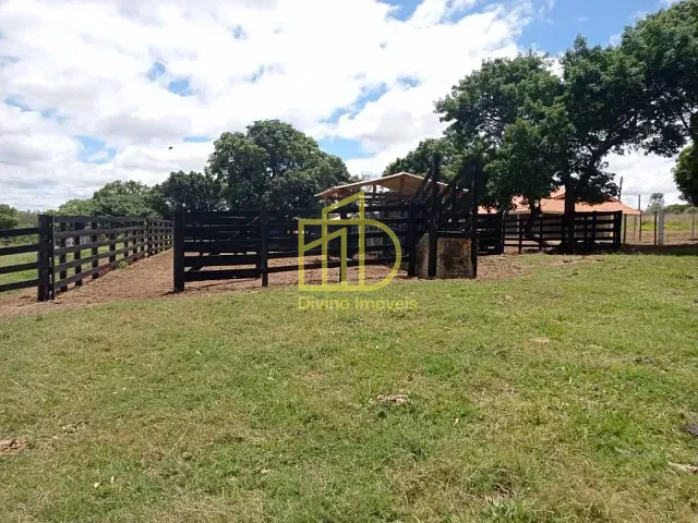 Fazenda com 1137400m², à venda, no bairro Portal em Paranapanema