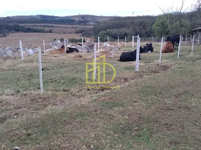 Fazenda com 1137400m², à venda, no bairro Portal em Paranapanema