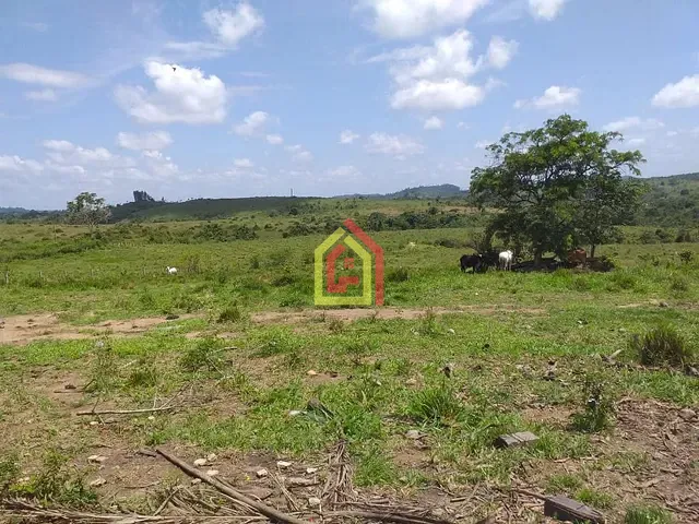 Fazenda com 29040000m², à venda, no bairro Zona Rural em Abel Figueiredo