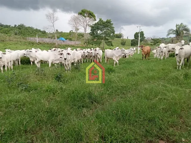Fazenda com 4065600m², à venda, no bairro Km 16 em Marabá