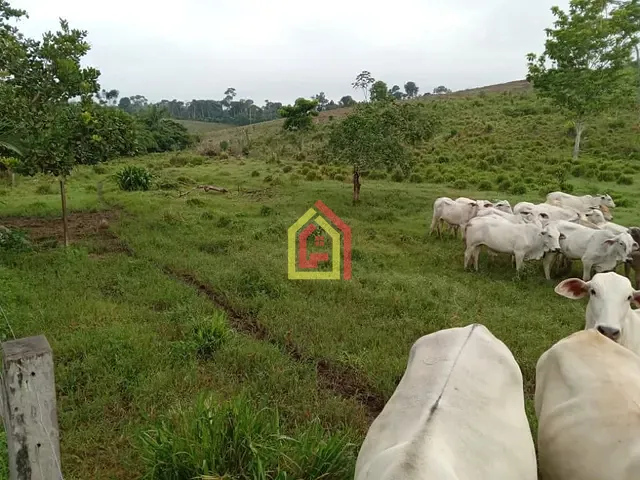 Fazenda com 4065600m², à venda, no bairro Km 16 em Marabá