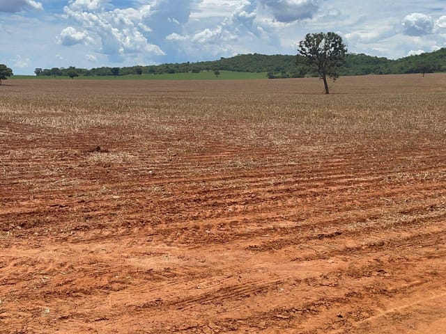 Foto do Fazenda - Fazenda para plantio de soja , 43 alqueires , Jandaia, GO | Provenda Imobiliária