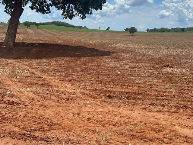 Foto do Fazenda - Fazenda para plantio de soja , 43 alqueires , Jandaia, GO | Provenda Imobiliária