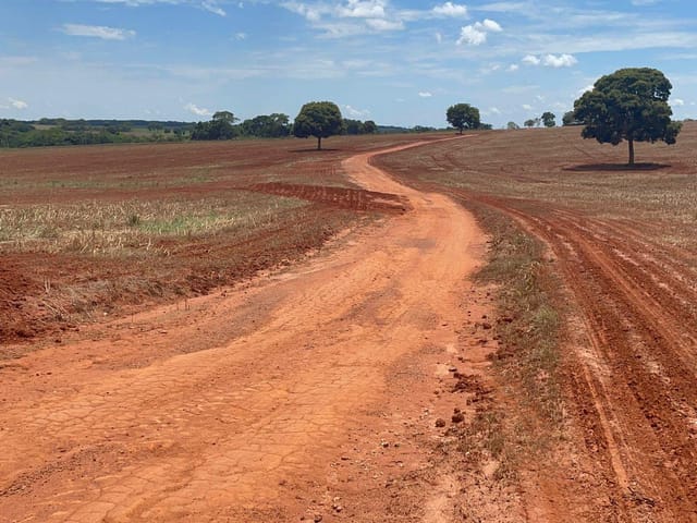 Foto do Fazenda - Fazenda para plantio de soja , 43 alqueires , Jandaia, GO | Provenda Imobiliária
