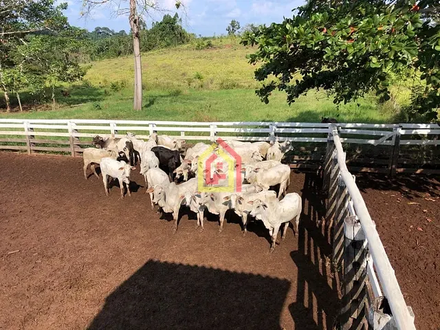 Fazenda com 87120000m², à venda, no bairro Zona Rural em Tucuruí