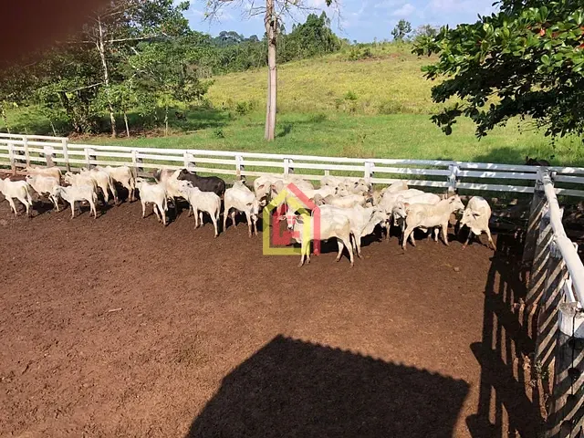 Fazenda com 87120000m², à venda, no bairro Zona Rural em Tucuruí