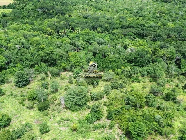 Fazenda com 79m² 3 quartos e 3 banheiros, à venda, no bairro Centro em Pirenópolis