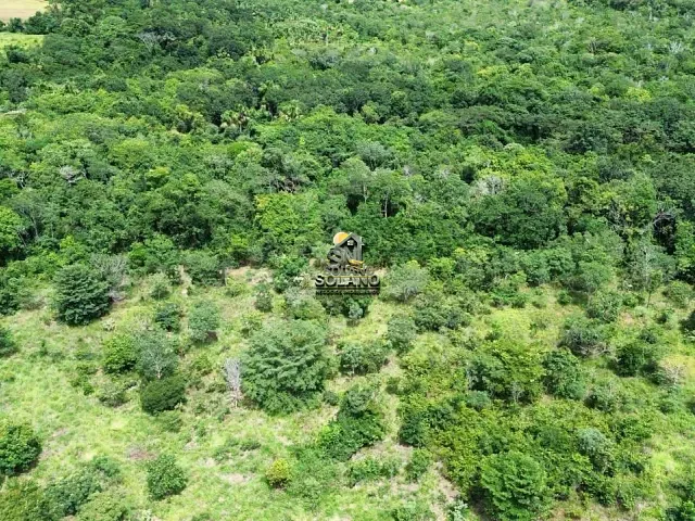 Fazenda com 79m² 3 quartos e 3 banheiros, à venda, no bairro Centro em Pirenópolis