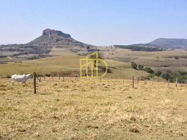 Fazenda com 1500400m², à venda, no bairro Zona Rural em Bofete
