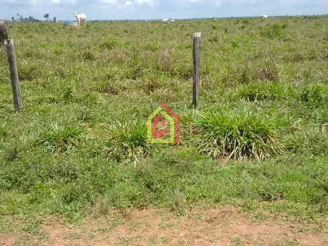 Fazenda com 18392000m², à venda, no bairro Zona Rural em Marabá