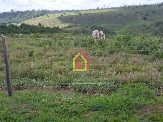 Fazenda com 18392000m², à venda, no bairro Zona Rural em Marabá