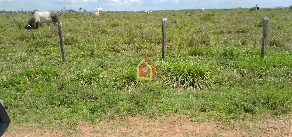 Rural à venda com 18392000m² de terreno no Zona Rural, Marabá (PA) — foto 4 de 19