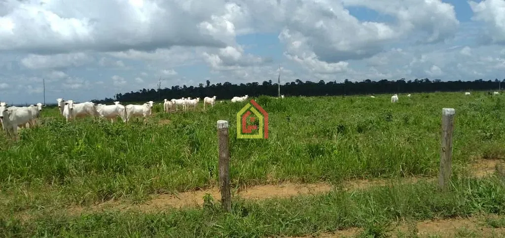 Rural à venda com 18392000m² de terreno no Zona Rural, Marabá (PA) — foto 7 de 19