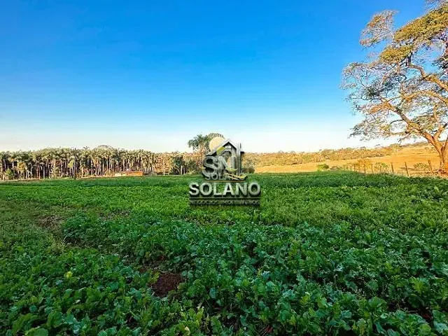 Fazenda com 16185m² 3 quartos e 2 banheiros, à venda, no bairro Chácaras Helou em Goiânia